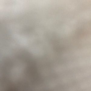 Meet your Posher, Dante